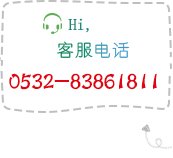 潜在追加预算：暂无